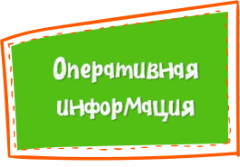 оперативная информация